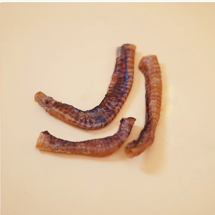 Boneless Goat Trachea Chew [FloofYou]