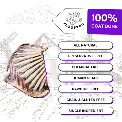 Goat Ribs Half Rack Dehydrated Bone [FloofYou]