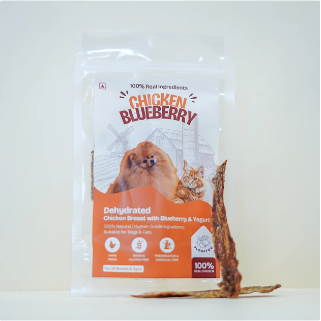 Chicken Blueberry Yogurt Jerky [FloofYou]