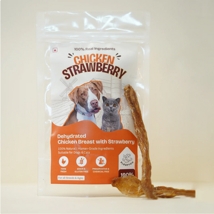 Chicken Strawberry Jerky [FloofYou]