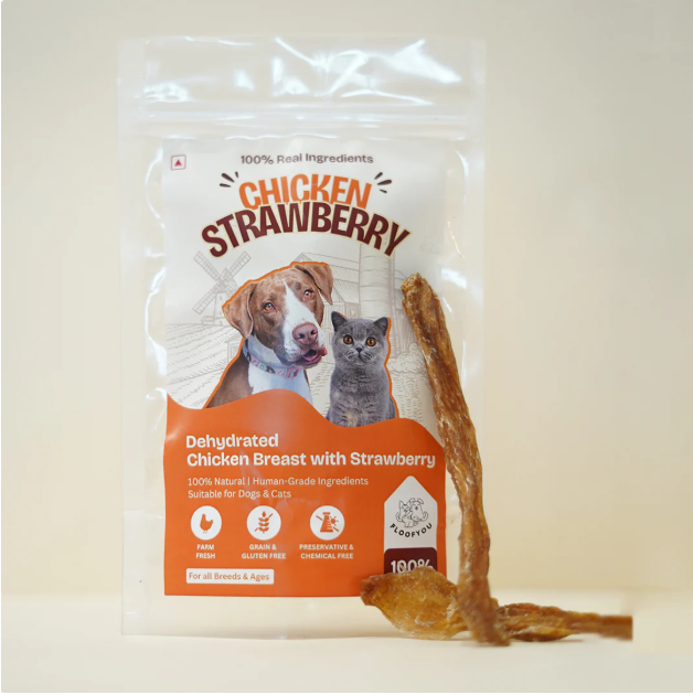 Chicken Strawberry Jerky [FloofYou]
