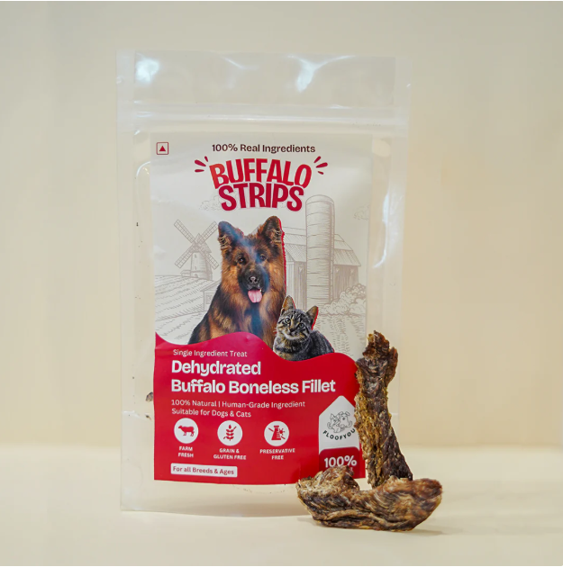 Buffalo Fillet Jerky [FloofYou]