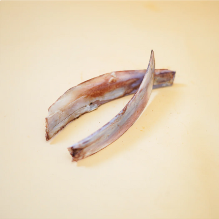 Buffalo Prime Rib Bone [FloofYou]