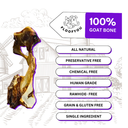 Goat Hip Dehydrated Bone (Small) [FloofYou]