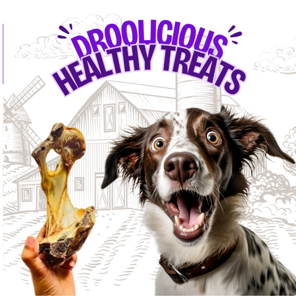 Goat Hip Dehydrated Bone (Small) [FloofYou]