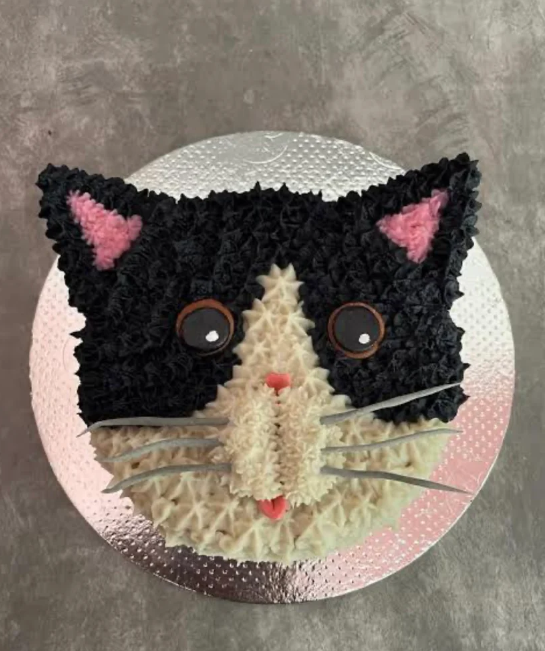 Cat Face Cake [The Furry Baker]