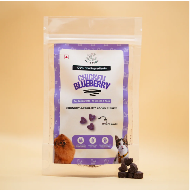 Chicken Blueberry Small Biscuit Treats [FloofYou]