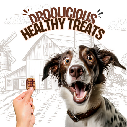 "Pawcolate" Bars (Mini) [FloofYou]