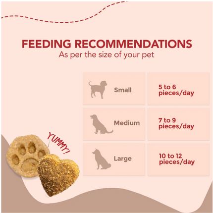 Vegan Treats (Peanut Butter & Banana Bites) (100g) [Furrmate]