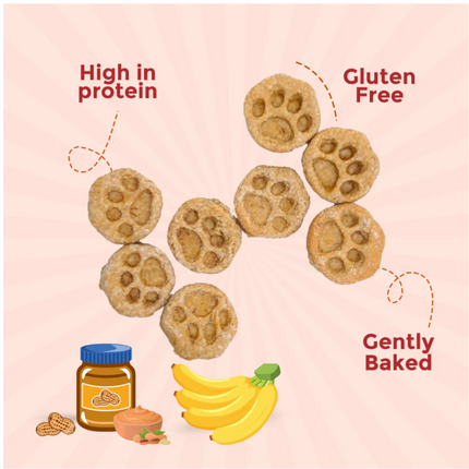 Vegan Treats (Peanut Butter & Banana Bites) (100g) [Furrmate]