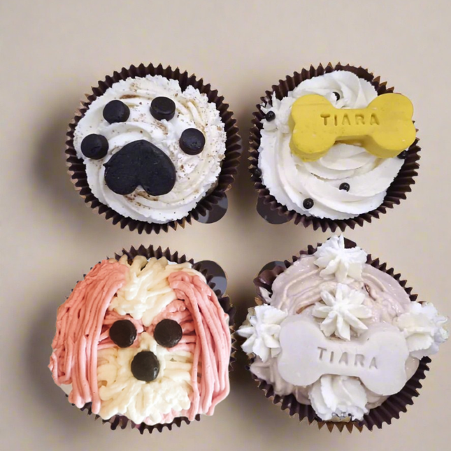 Box of Cupcakes | Shih Tzu