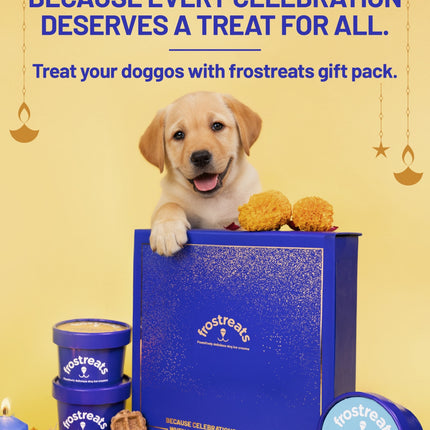 Ice Creams Diwali Gift Pack [Frostreats by Zimero]