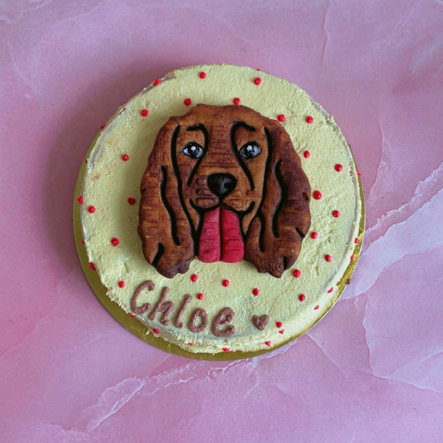 Cocker Spaniel Face Cake [The Furry Baker]