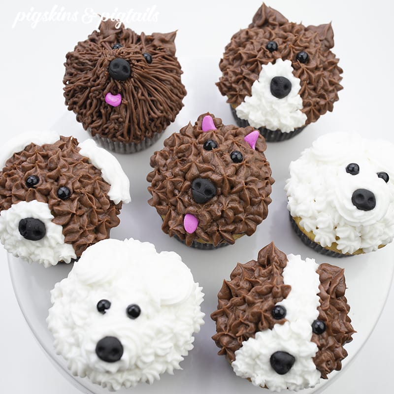 Pupcakes [The Furry Baker]