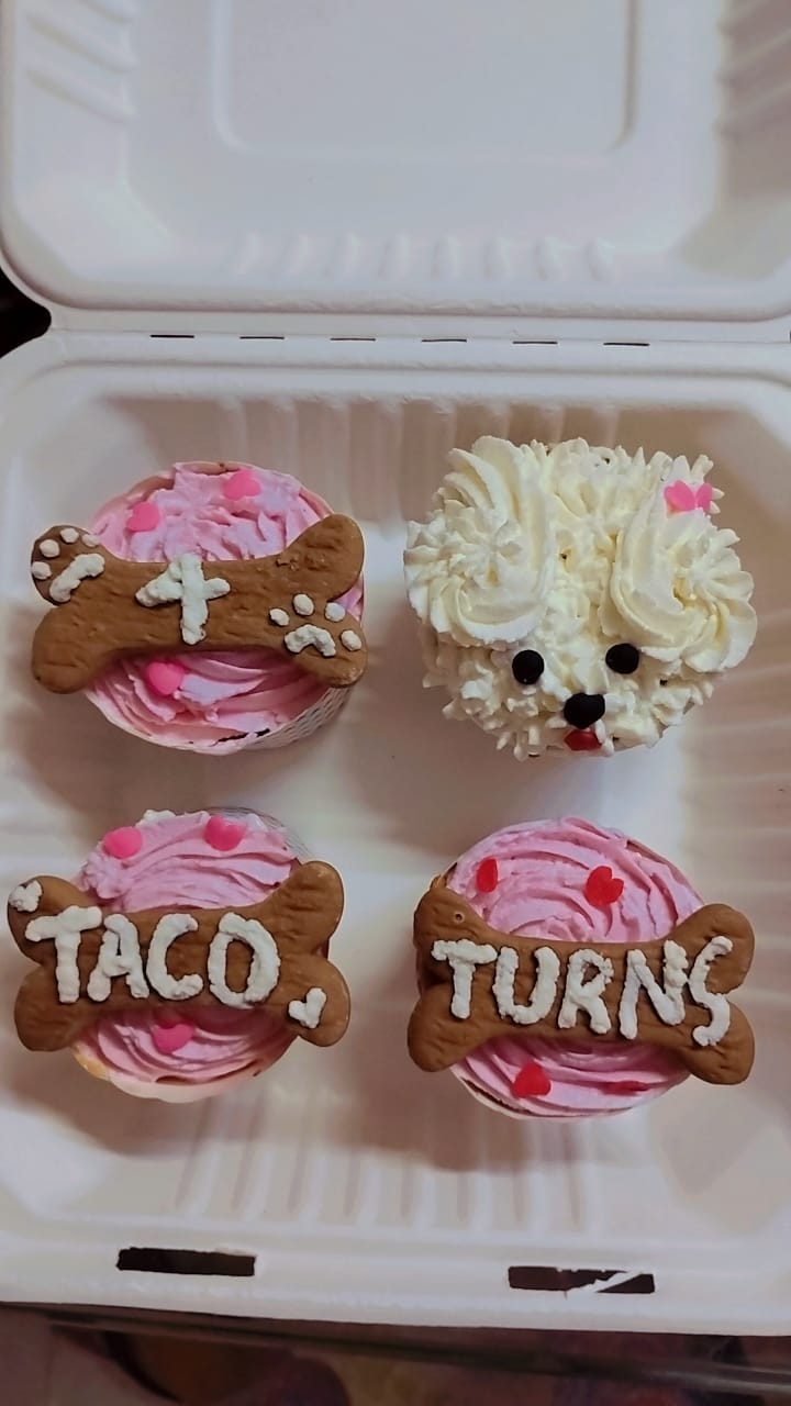 Pupcakes [The Furry Baker]