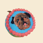Carrot Chicken / Pug/ Bully