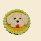 Carrot Chicken / Maltipoo