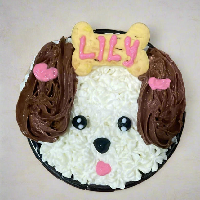 Single Pupcake [The Furry Baker]