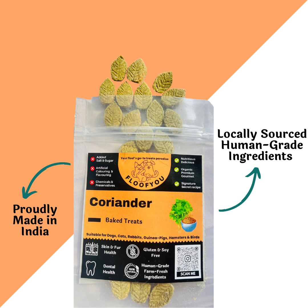 Coriander Pure Veg Natural Healthy Treat For Small Animals [Floof You] - The Pet Belly