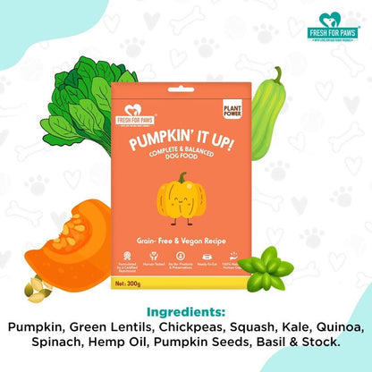 Pumpkin' It Up [Fresh For Paws] - The Pet Belly