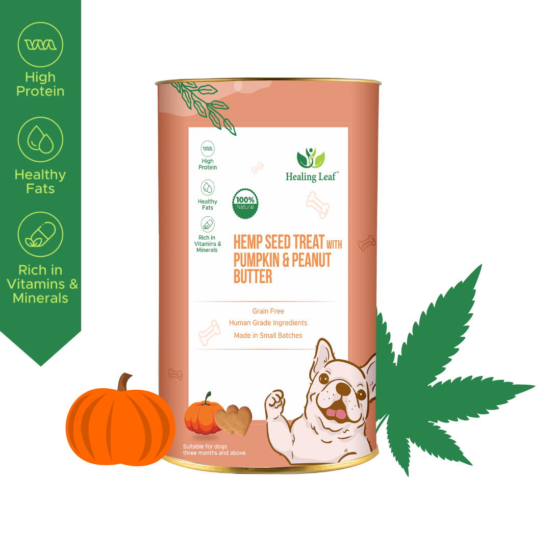 Hemp Pumpkin Treat [100g] [Healing Leaf]