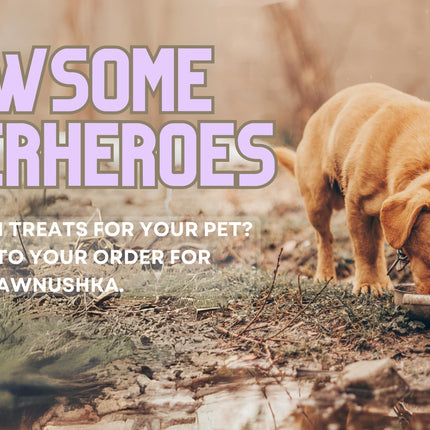 "Pawsome Superheroes: A Feeding Strays Initiative"