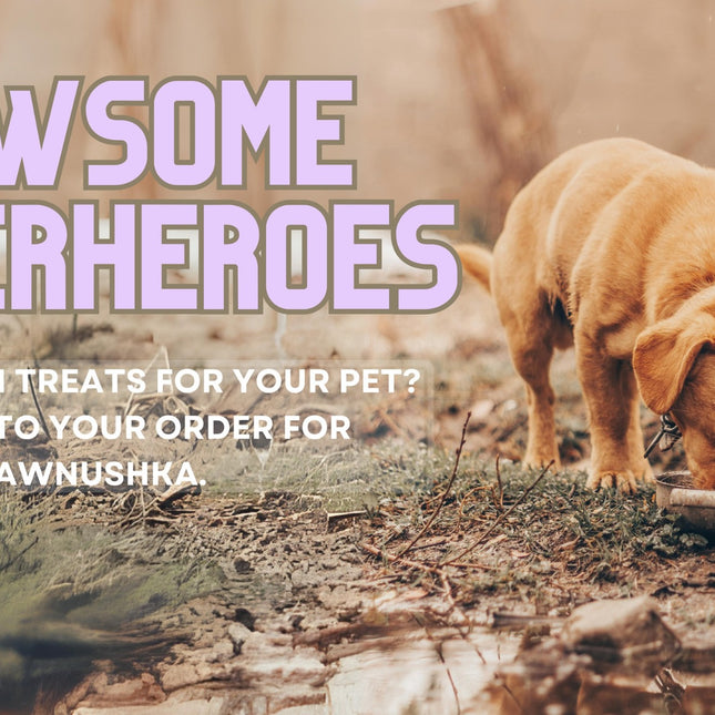 "Pawsome Superheroes: A Feeding Strays Initiative"