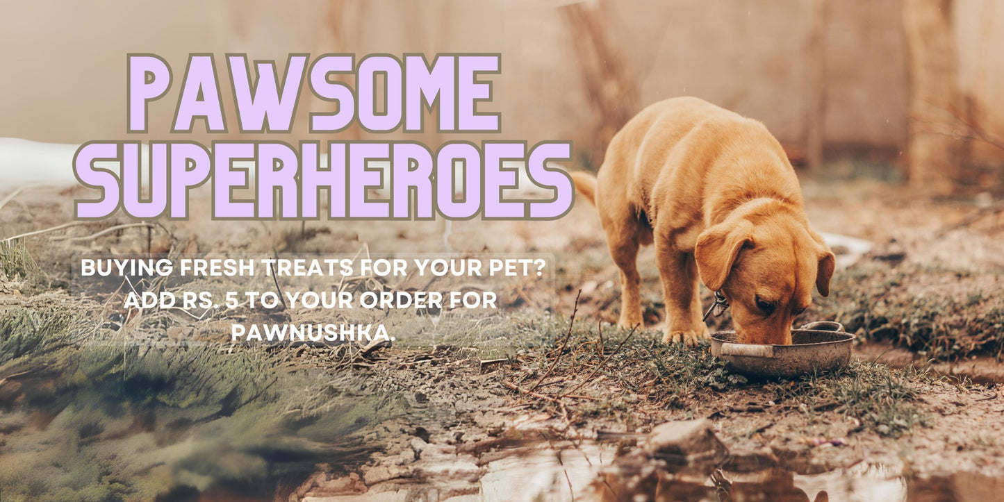 "Pawsome Superheroes: A Feeding Strays Initiative"