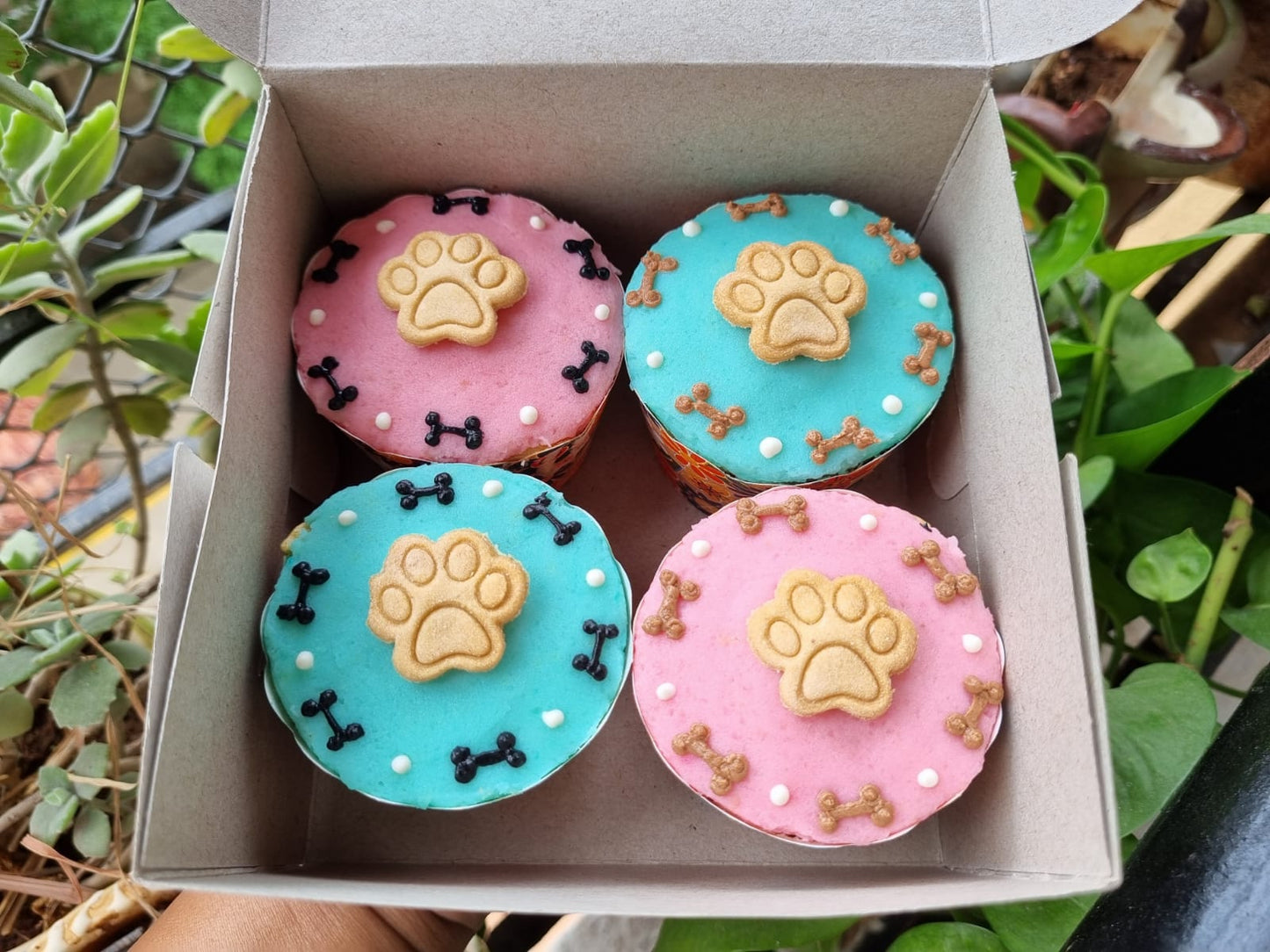 Custom Dog Cupcake (Box of 4) [Pune]